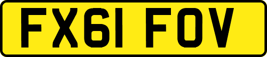 FX61FOV