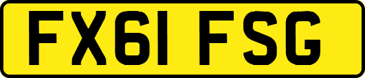 FX61FSG