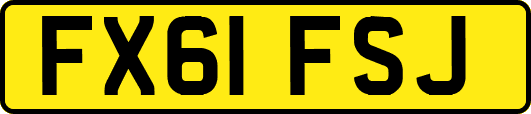 FX61FSJ