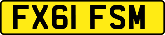 FX61FSM