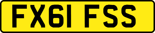 FX61FSS