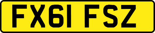 FX61FSZ