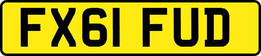 FX61FUD