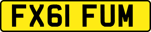 FX61FUM