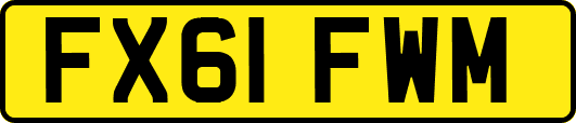 FX61FWM