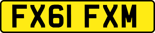 FX61FXM