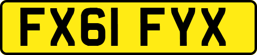 FX61FYX