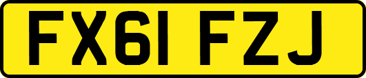 FX61FZJ