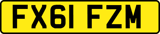 FX61FZM