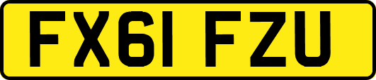 FX61FZU