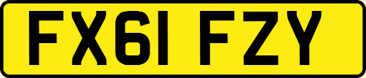 FX61FZY