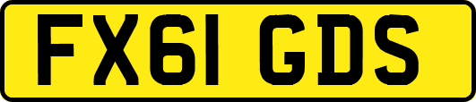 FX61GDS