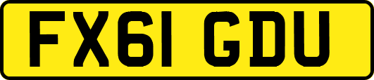 FX61GDU