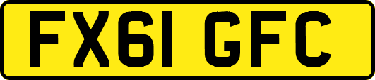 FX61GFC