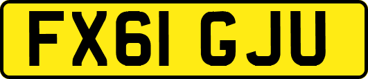 FX61GJU