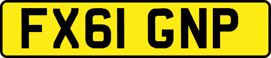 FX61GNP