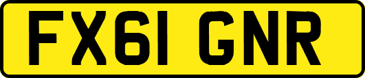 FX61GNR