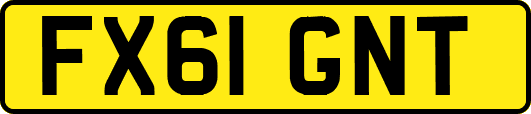 FX61GNT