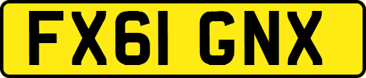 FX61GNX