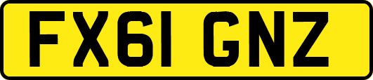 FX61GNZ
