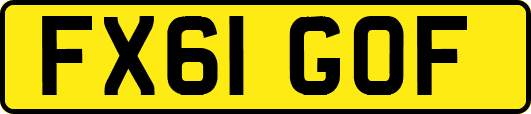 FX61GOF