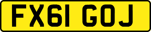 FX61GOJ