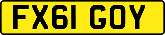 FX61GOY