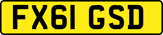 FX61GSD