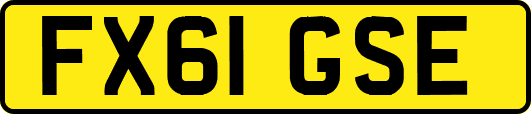 FX61GSE