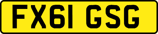 FX61GSG