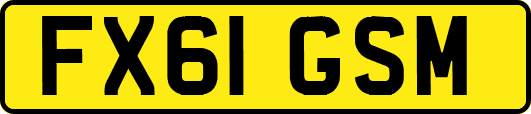 FX61GSM