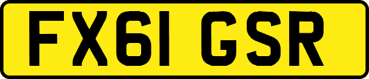 FX61GSR