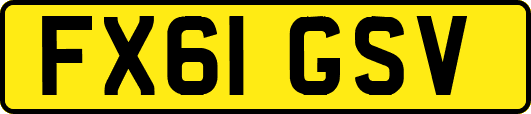 FX61GSV