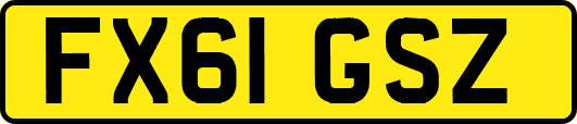 FX61GSZ