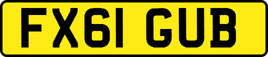 FX61GUB