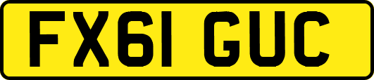 FX61GUC
