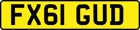 FX61GUD