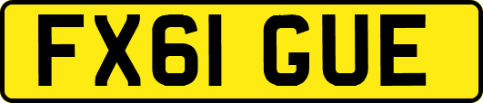 FX61GUE