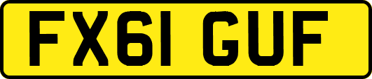 FX61GUF