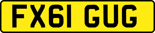 FX61GUG