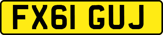 FX61GUJ