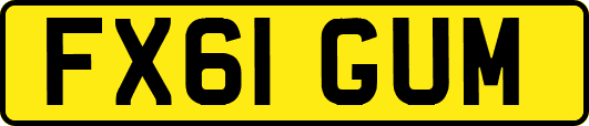 FX61GUM