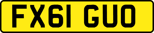 FX61GUO