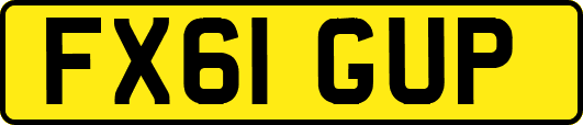 FX61GUP