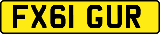 FX61GUR