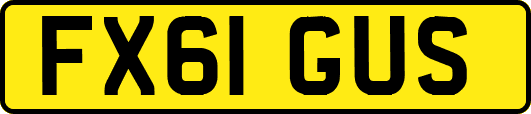 FX61GUS