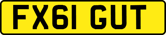 FX61GUT
