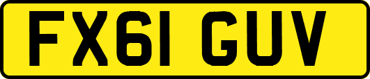 FX61GUV