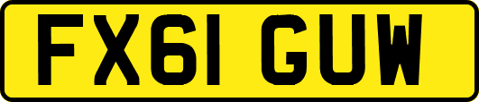 FX61GUW