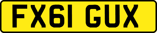 FX61GUX